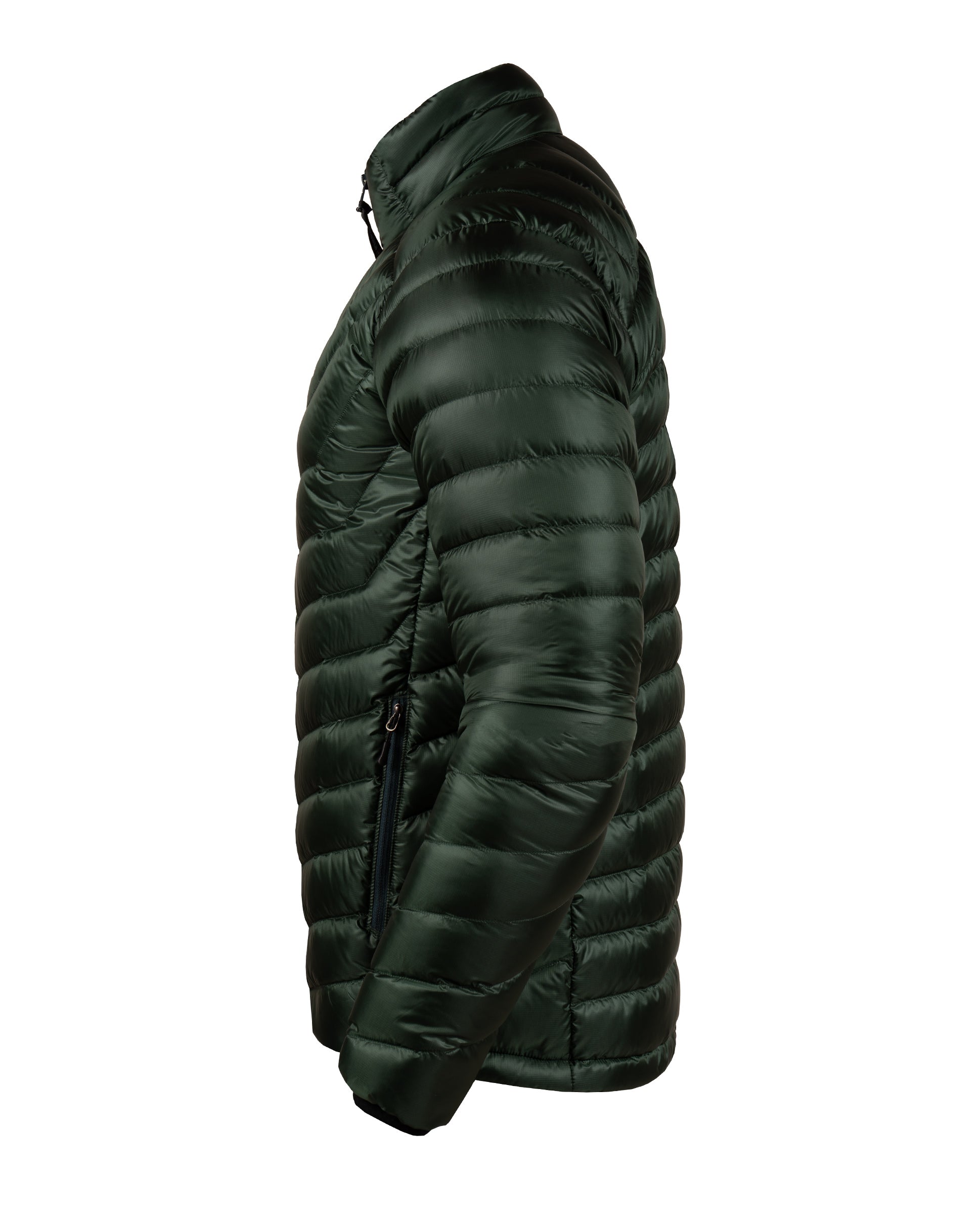 #color_verde-oscuro