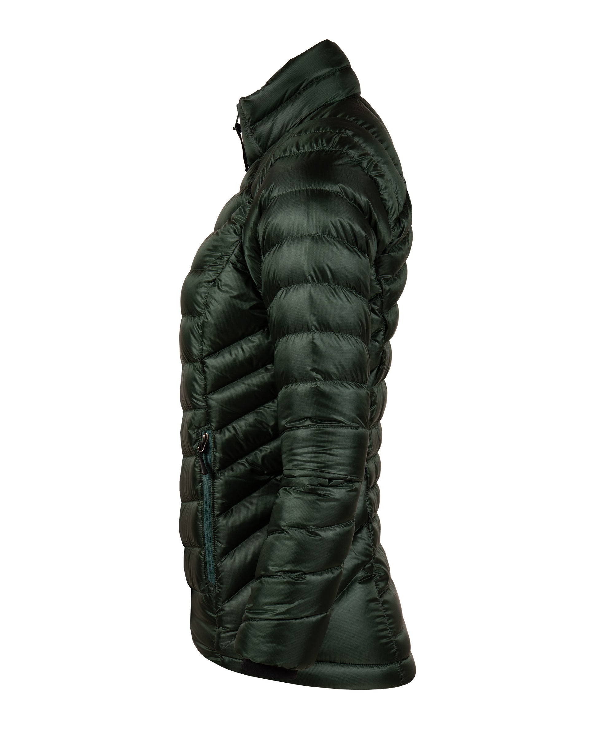 #color_verde-oscuro