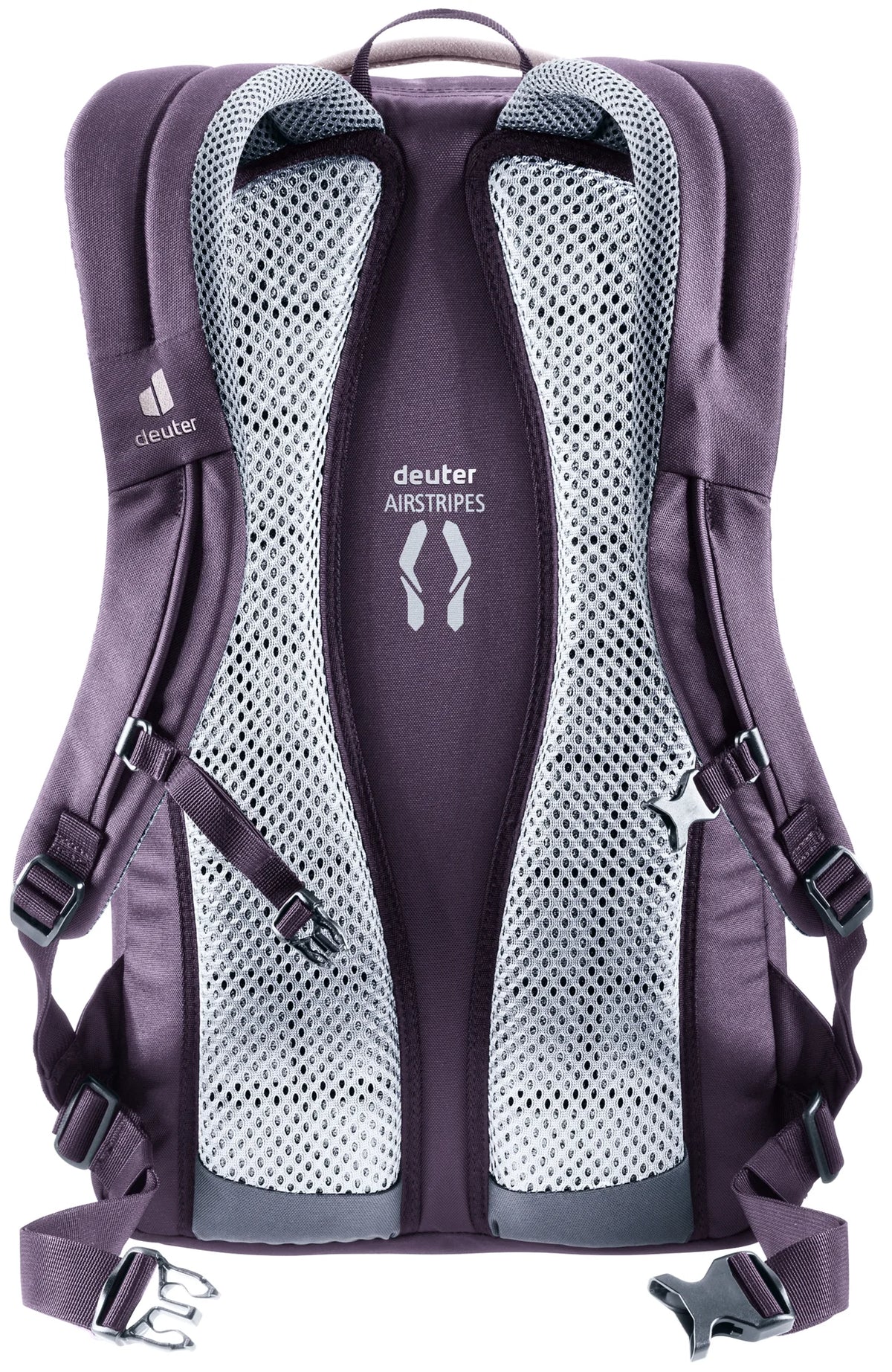 #color_lavender-purple