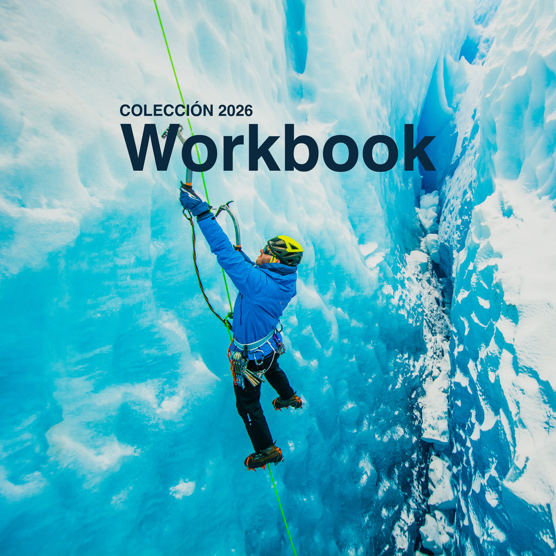 Workbook 2026
