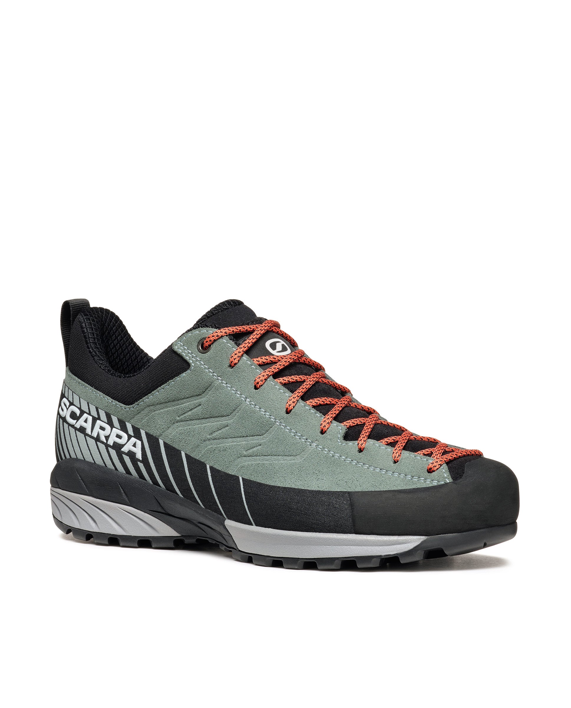 #color_conifer-gray