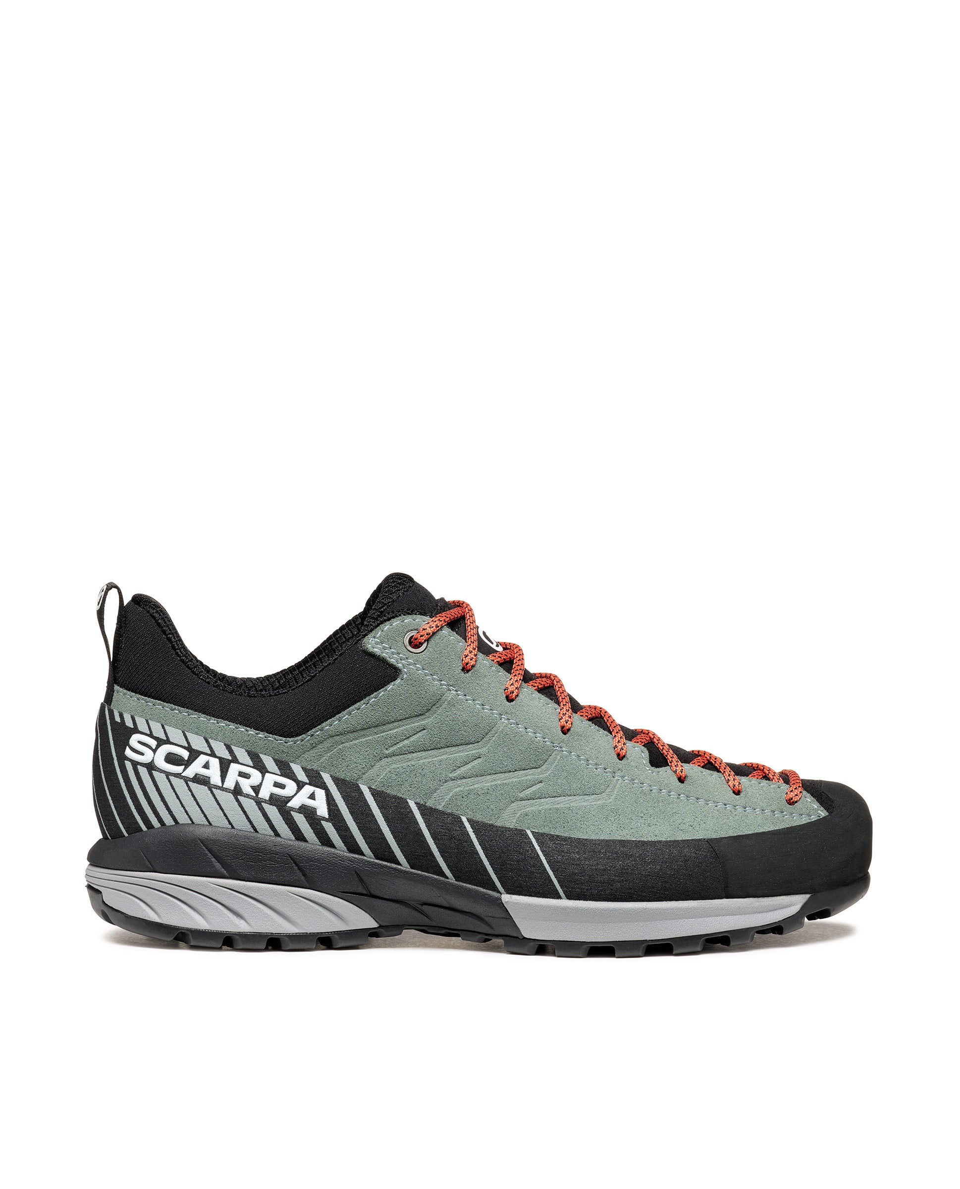 #color_conifer-gray
