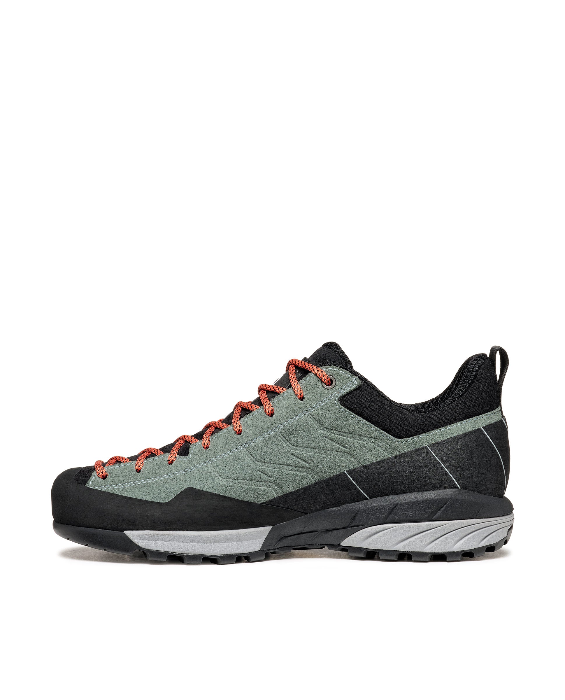 #color_conifer-gray