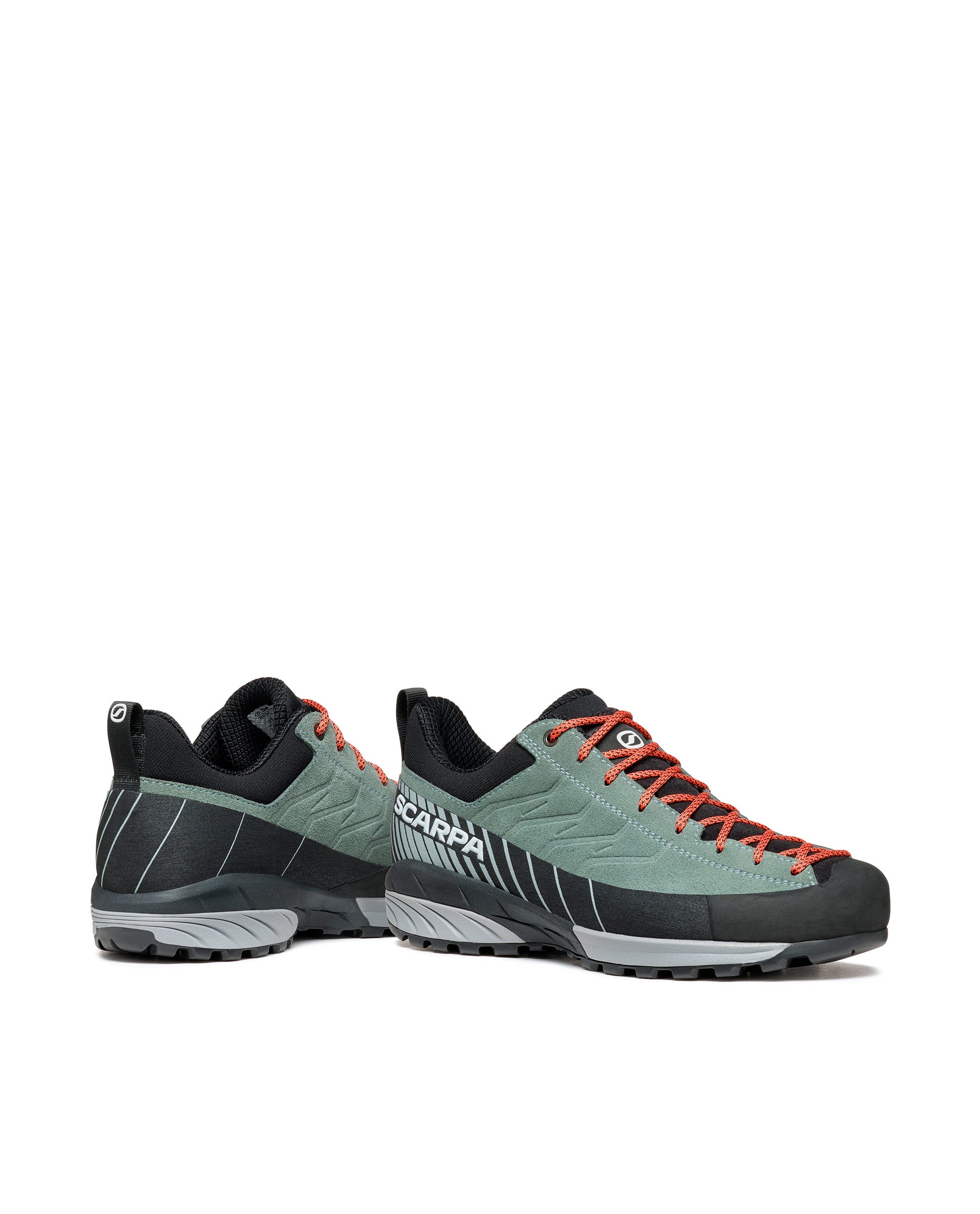 #color_conifer-gray