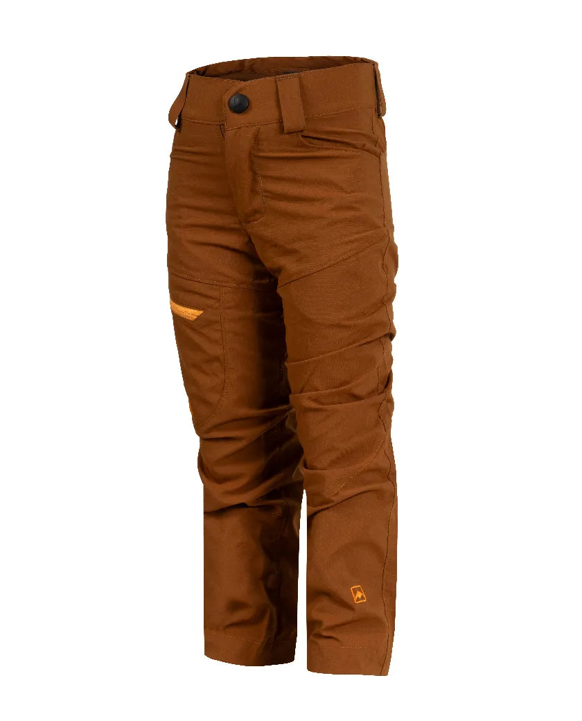 #color_marron