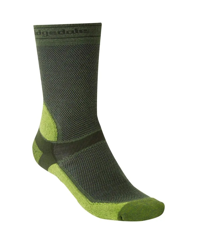 #color_dark-green-lime