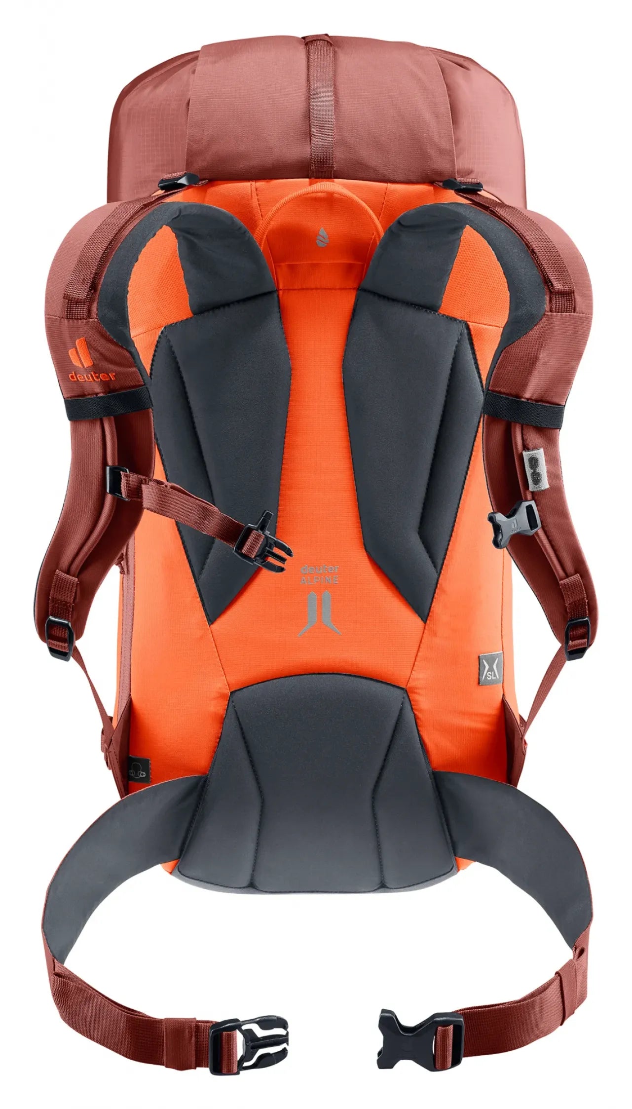 #color_papaya-redwood